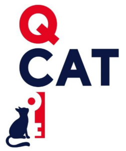 Logo of the QCI-CAT project